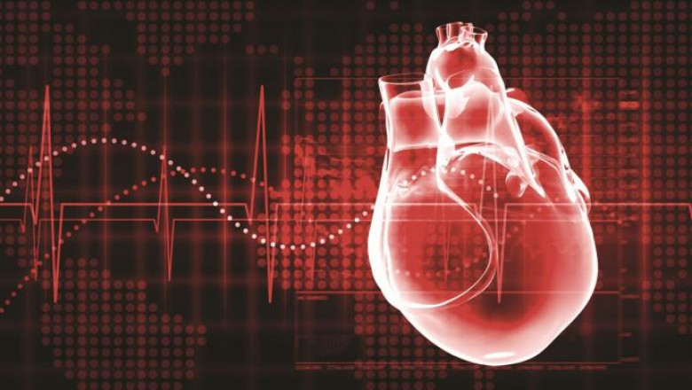 3D Cardiac Mapping System Market to Soar Owing to Rising Arrhythmia Incidence