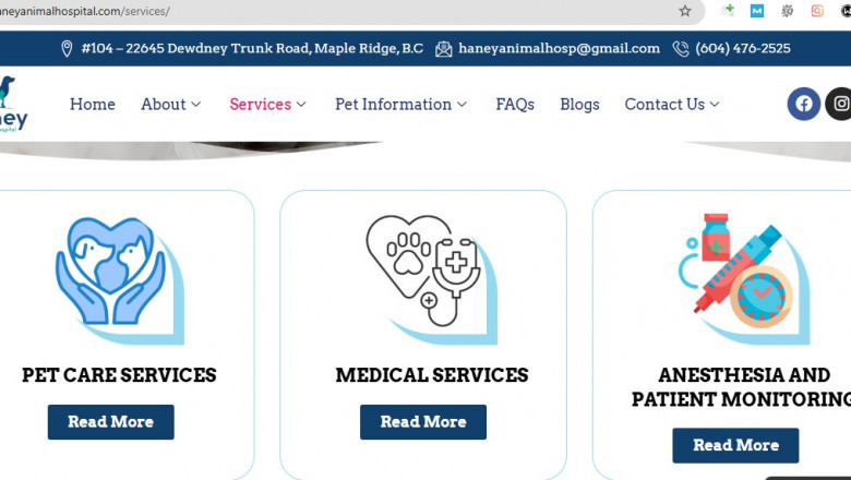 Affordable Pet Care Clinic in Maple Ridge | Haney Animal Hospital