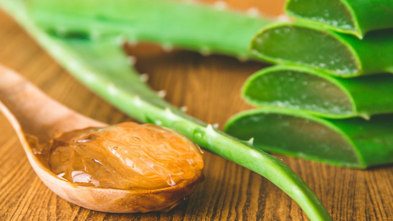 Aloe Vera Extracts Market: Key Factors Driving Growth, Challenges, and Emerging Opportunities Worldwide