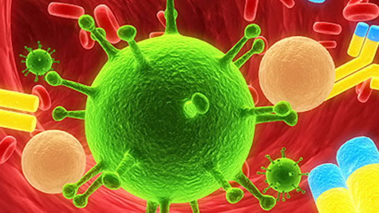 Antibody Discovery Market Set to Surge on Rising Personalized Therapies