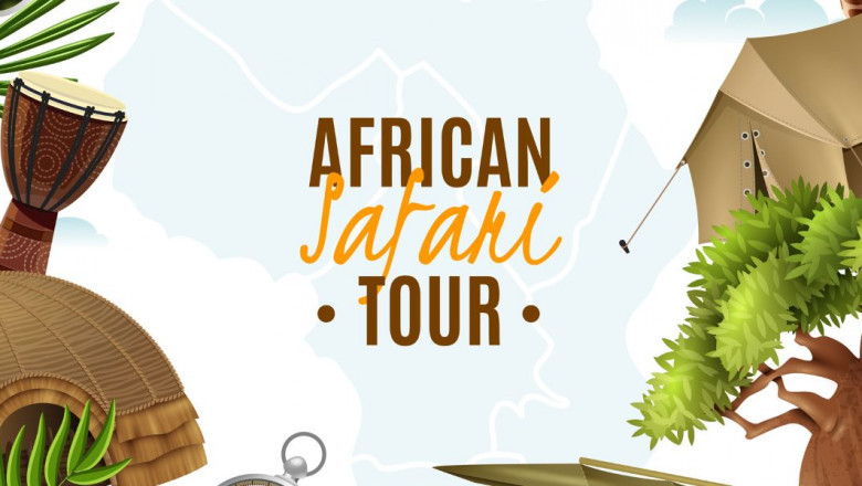 Discover the Best South Africa Holiday Deals with a Trusted Travel Management Company