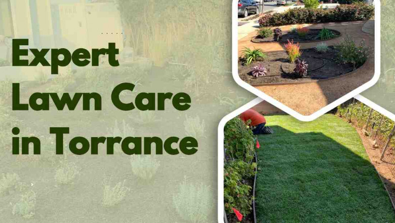 Expert Lawn Care in Torrance, CA - Chaman INC Landscaping
