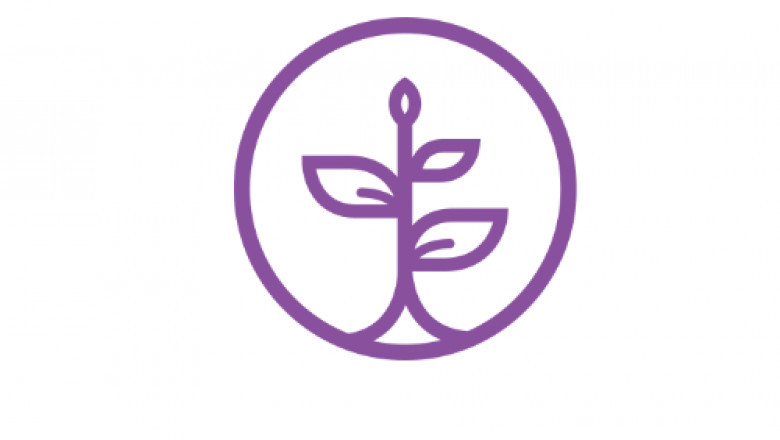 From Assessment to Action: Using Your Attachment Style Results to Build Stronger Bonds