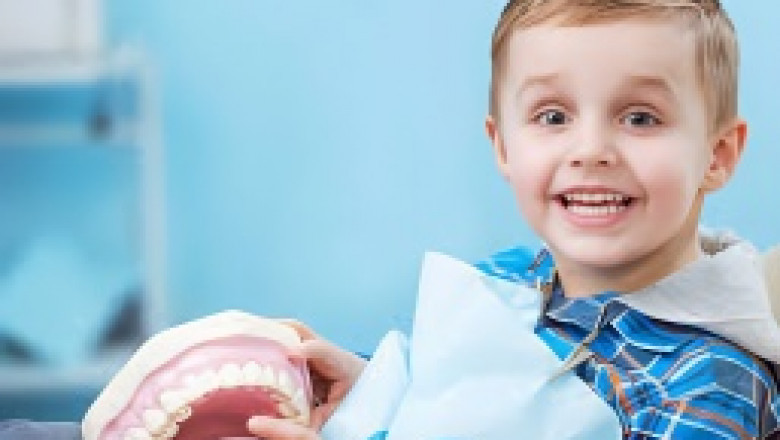 Little Chompers Pediatric Dentistry: An Efficient Team of Pediatric Dental Professionals