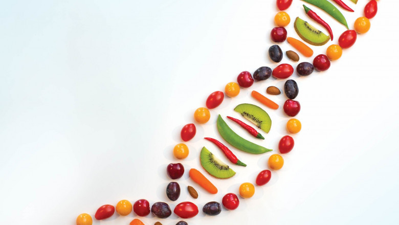Nutrigenomics Market is Estimated to Witness High Growth Owing to AI-Powered Genomic Profiling
