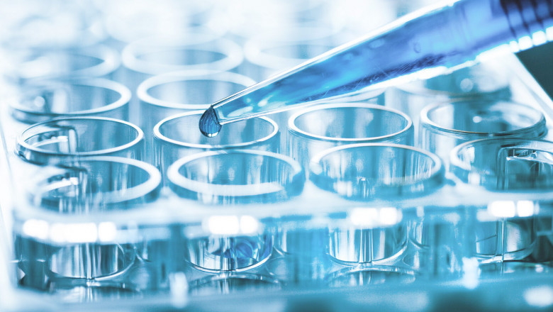 Regional Insights and Demand Patterns in the Expanding Biotech Flavours Market