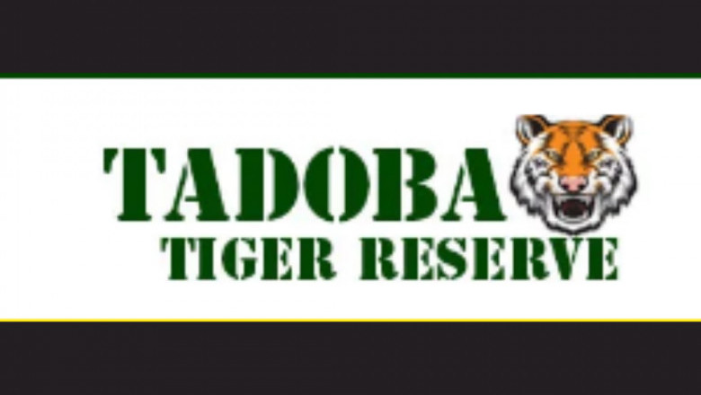 Tadoba National Park Safari Booking: How to Reserve Your Jungle Adventure