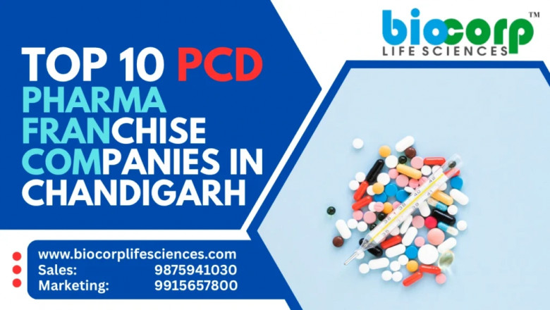 Top 10 PCD Pharma Franchise Companies in Chandigarh