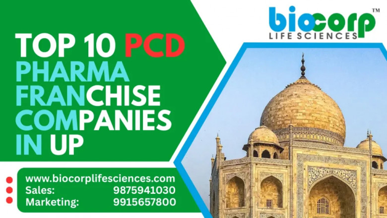 Top 10 PCD Pharma Franchise Companies in UP