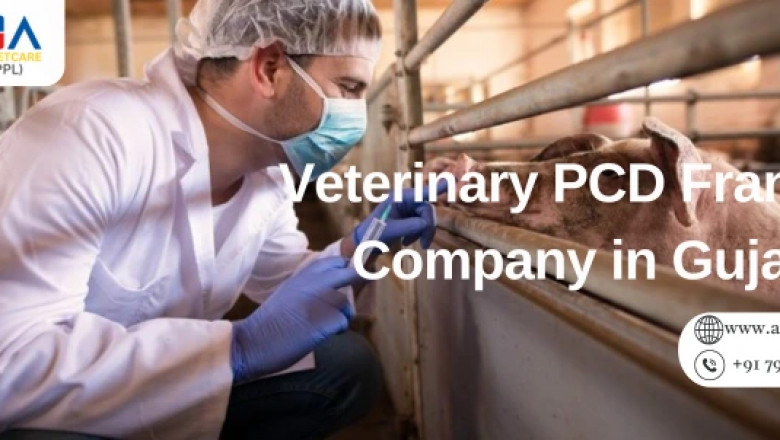 Veterinary PCD Franchise Company in Gujarat