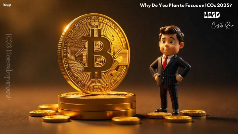 What is an ICO Development Program, and Why Do You Plan to Focus on ICOs in 2025?