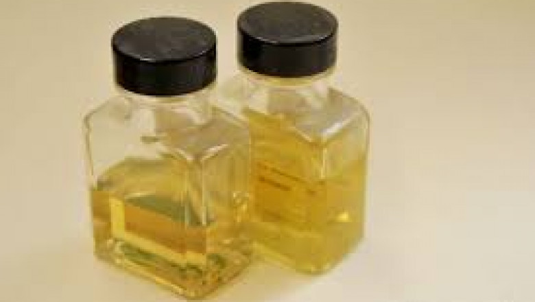 Coating Binders Market: Key Impacting Factors Driving Transformation and Innovation
