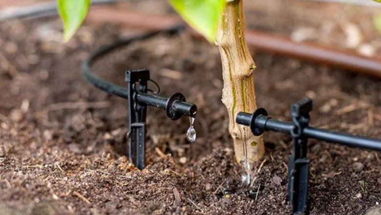 Drip Irrigation in Melbourne: Efficient and Sustainable Watering Solutions for Your Garden