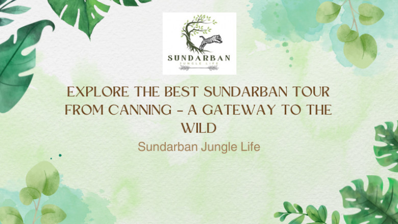 Explore the Best Sundarban Tour from Canning – A Gateway to the Wild