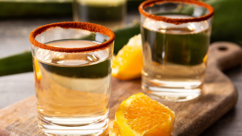 Mezcal Market in the U.S.: Trends and Opportunities