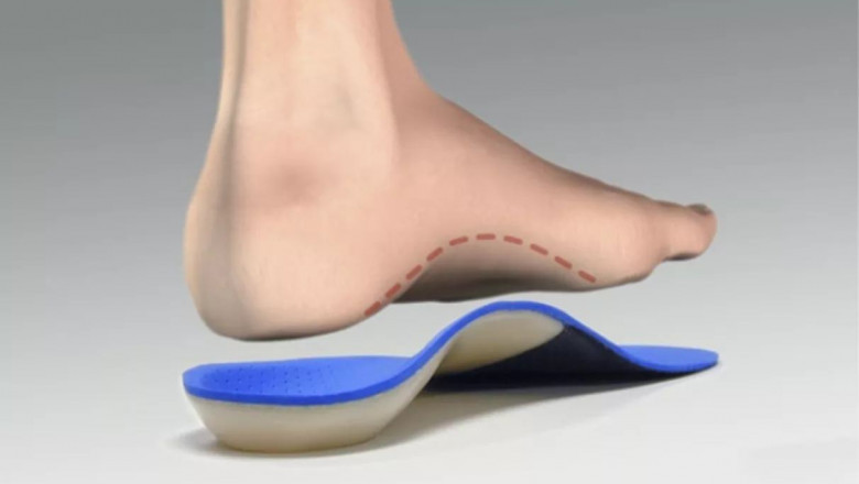 Orthopedic Insole Market Report by Material, Size & Share, Global Forecast 2025-2033