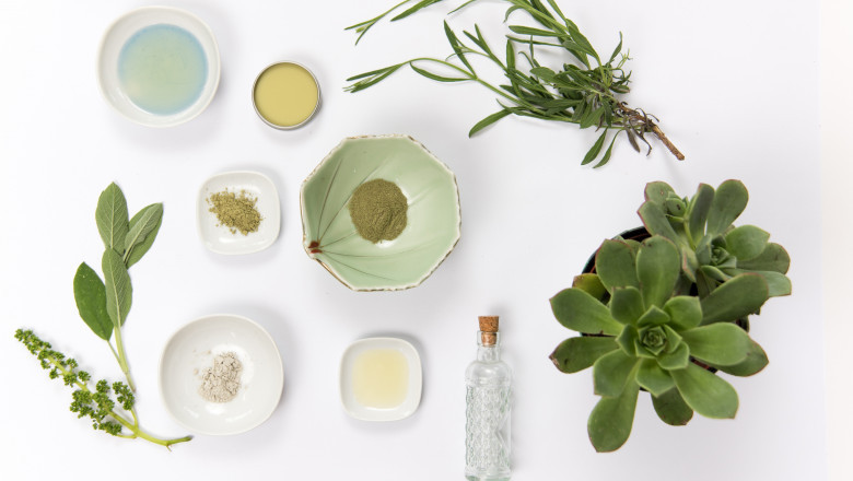 Plant Based Personal Care Ingredients Market Forecast: Key Growth Factors Through 2030
