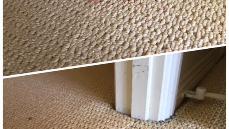 Sunshine Coast’s Go-To Experts for Carpet Stain Emergencies – De Vere Delivers Every Time