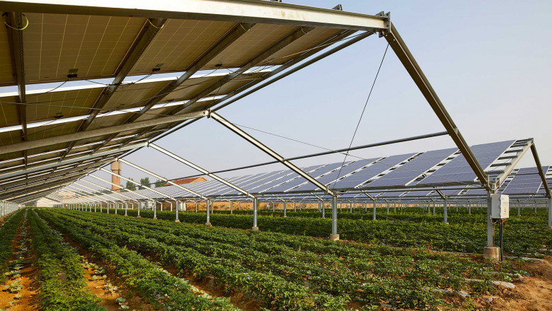 US Agrivoltaics Market to Witness Growth Owing to PV Integration