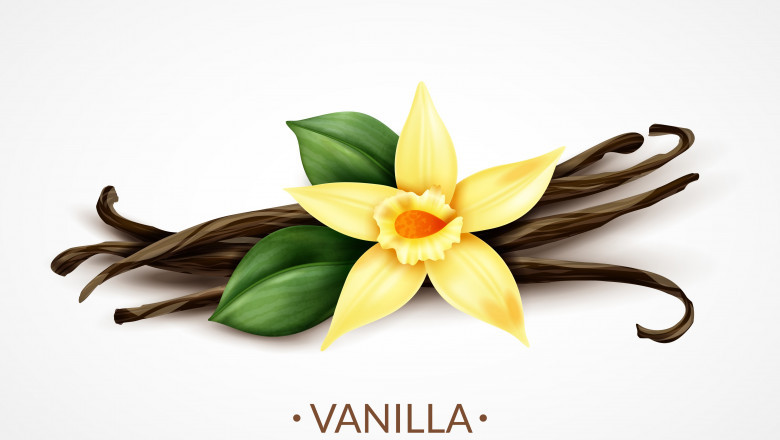 Vanilla Extract Market Size, Share, Trends, Analysis, 2032