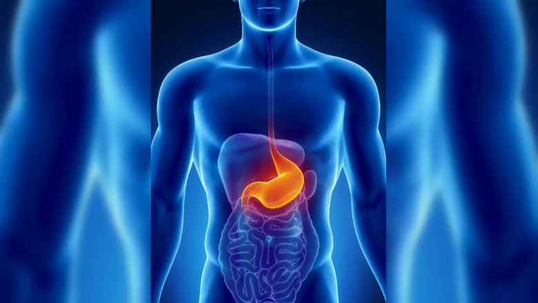Your Guide to the Best Gastroenterologist in Bangalore – Symptoms, Treatments & More