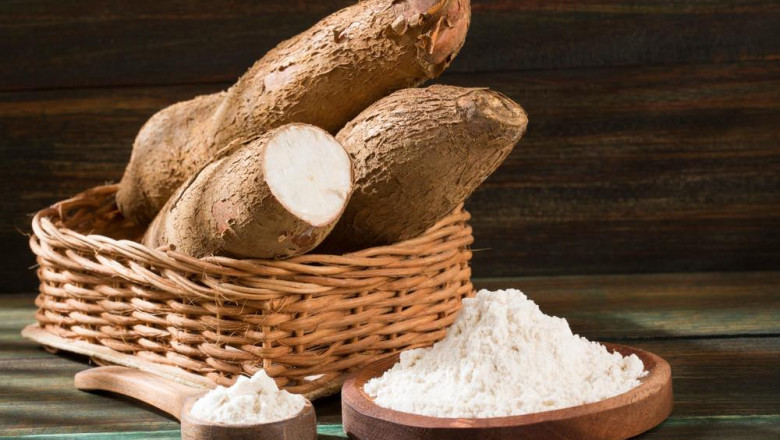 Cassava Starch Market Set to Soar with Novel Enzymatic Conversion Advances