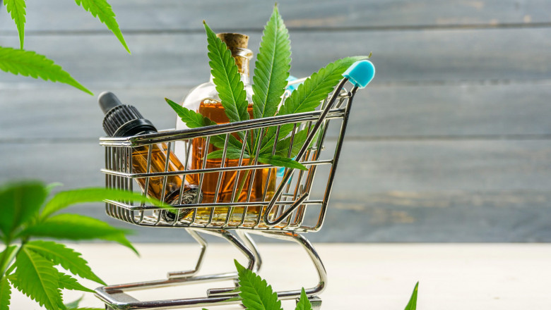 CBD Beverages Market Trends: Shift Toward Organic, Natural, and Low-Calorie Formulations