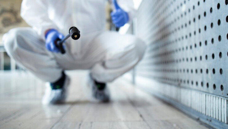 Complete Guide to Pest Control in Bakersfield, CA for Homeowners