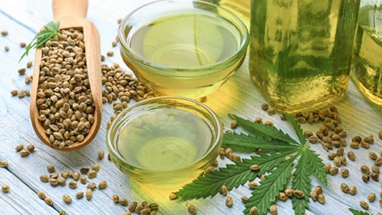 Comprehensive Report on a Hemp Oil Manufacturing Plant Project: Cost and Revenue
