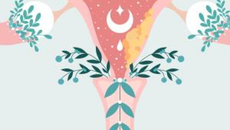 Endometrial Cancer Market Anticipated to Witness Growth Owing to Emerging Targeted Therapies