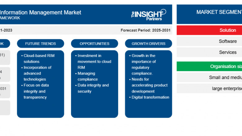 Exploring Growth and Opportunities in the Regulatory Information Management Market