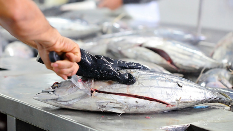 Fish Processing Market is Estimated to Witness Growth Owing to IoT Automation