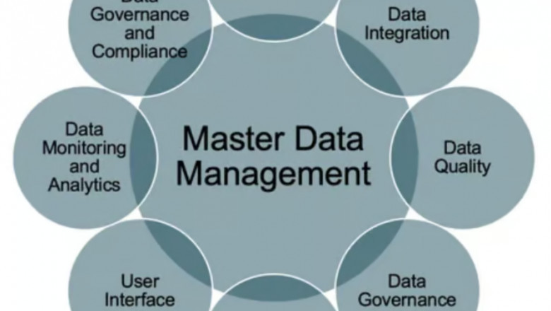 Master Data Management (MDM) for SAP Environments - Strategy and Solutions