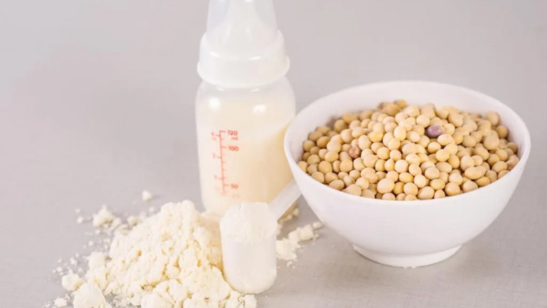 Plant-Based Infant Formula Market Scope: Expanding Opportunities and Future Potential Worldwide