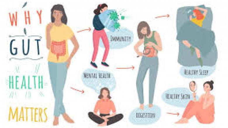 Why Gut Health Matters: The Key to Overall Well-being