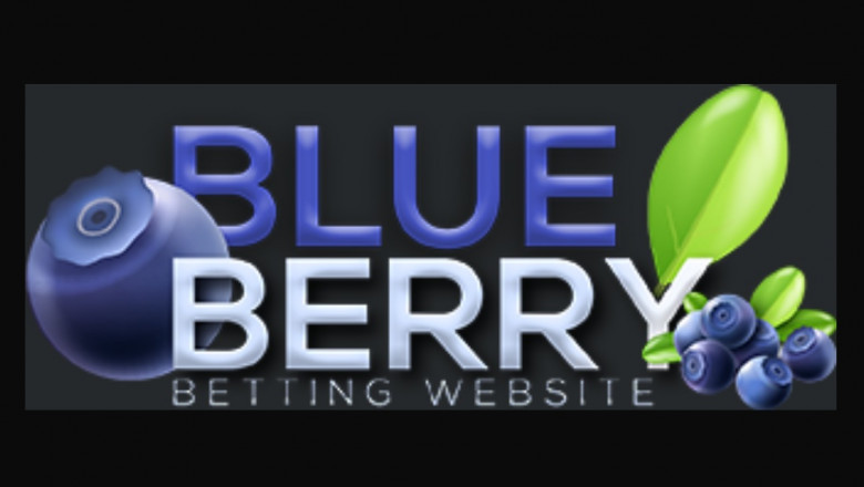 بلوبری بت (Blueberry Bet)؛ تجربهای متفاوت در دنیای شرطبندی و کازینو آنلاین