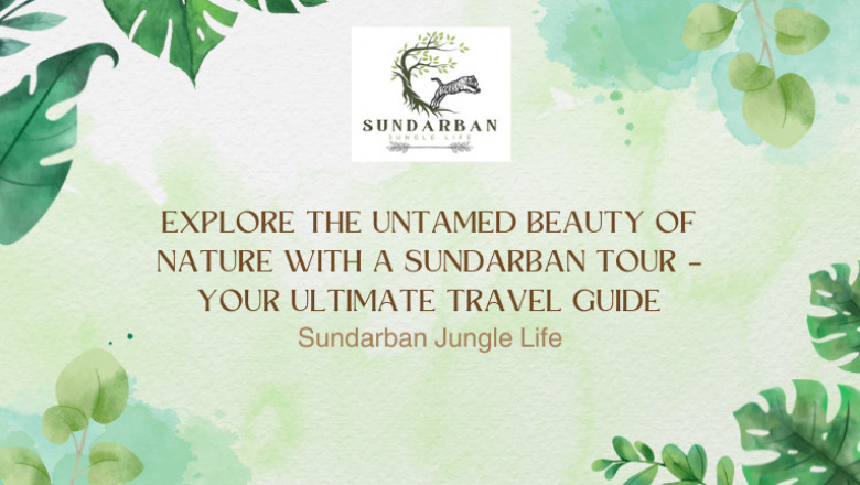 Explore the Untamed Beauty of Nature with a Sundarban Tour – Your Ultimate Travel Guide