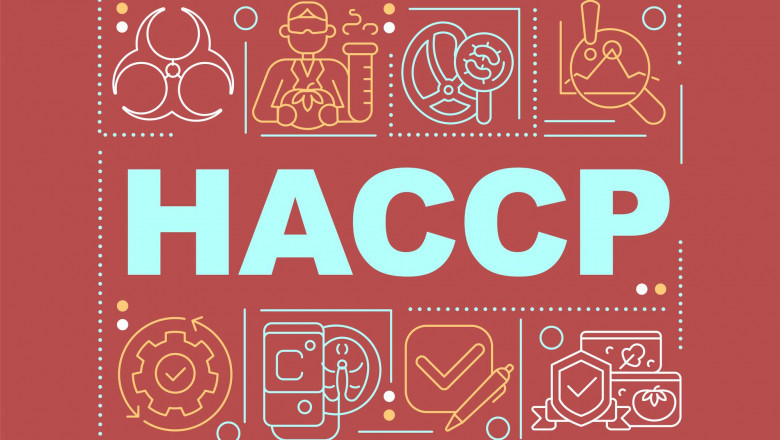 HACCP Certification: The Silent Backbone of Operational Efficiency
