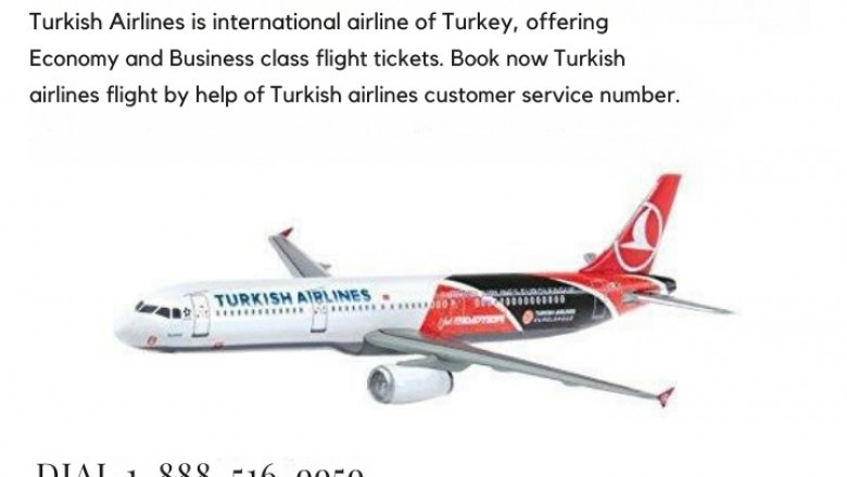 21 Way To Talk To Someone At Turkish