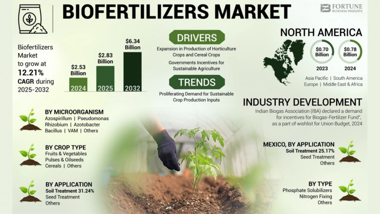 Biofertilizers Market Size, Share, Industry Growth, and Forecast, 2032