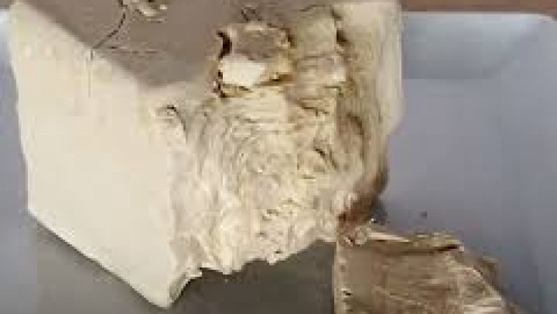 Compressed Yeast Market Intelligence: Strategic Insights and Competitive Landscape