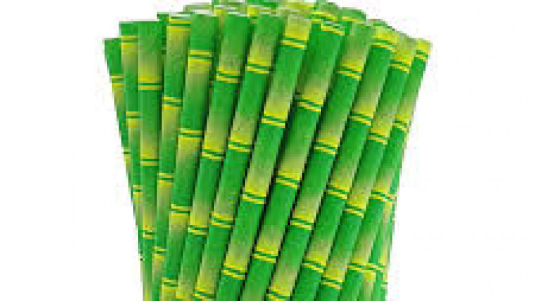 Eco-Friendly Straws Market Competitive Landscape and Key Player Strategies Overview