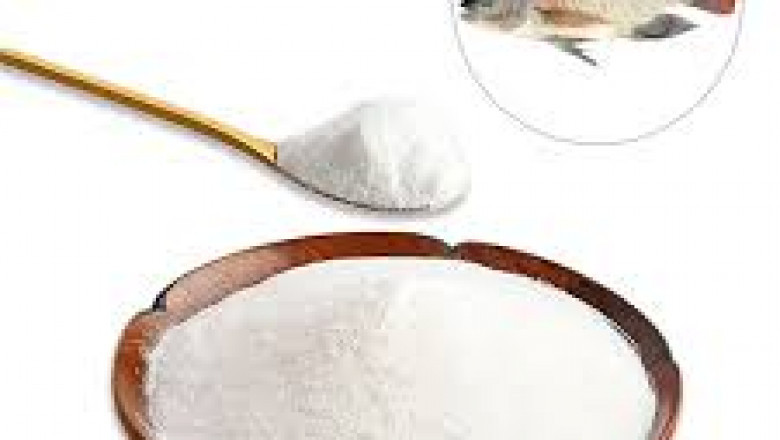 Fish Collagen Market Accelerators: Key Drivers Fueling Rapid Industry Expansion Globally