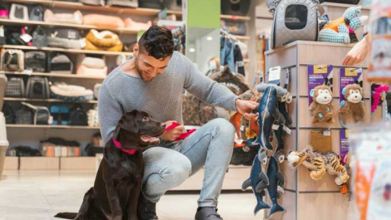 Pet Care's Role in Consumer Lifestyles