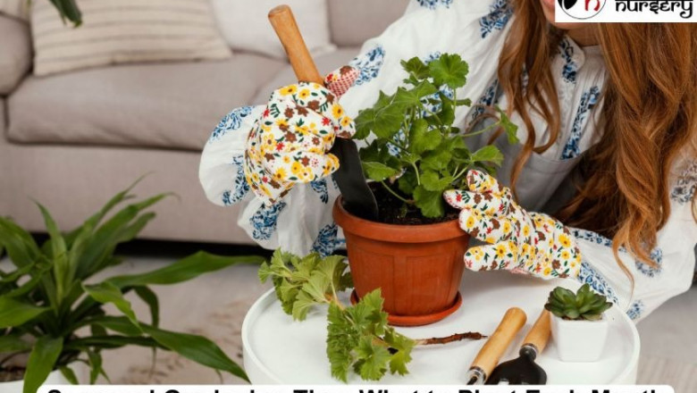 Seasonal Gardening Tips: What to Plant Each Month