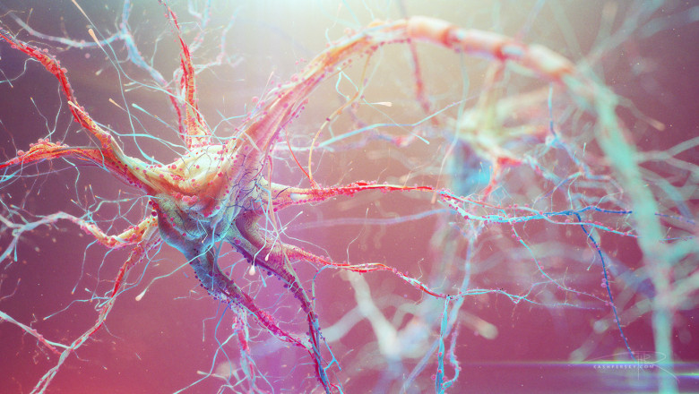 Tonic-clonic Seizure Treatment Market Witness Substantial Growth Due to Rising Prevalence of Epilepsy
