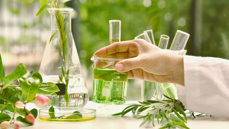 Beverage Botanical Extracts Market Insights: Role of Clean Label and Organic Certifications Driving Demand
