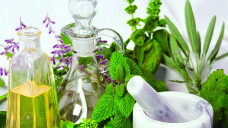 Botanical Extracts Market Insights: Role of Consumer Preference for Clean Label and Eco-Friendly Products
