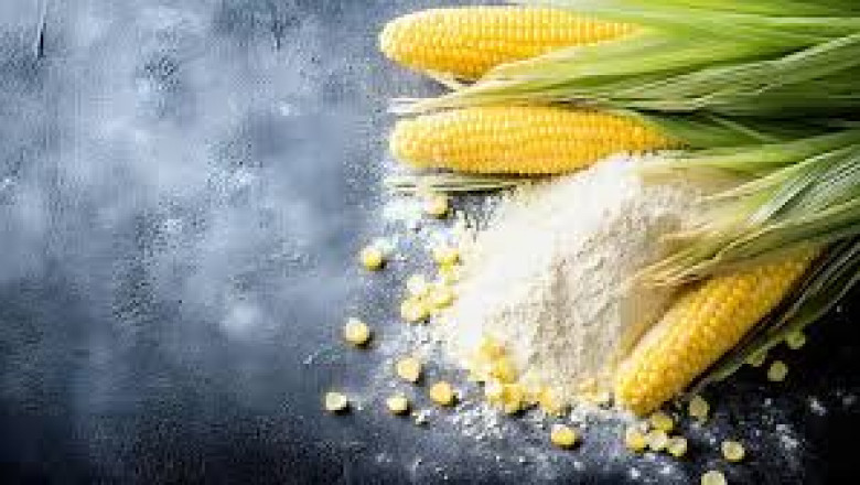 Corn Flour Market – Strategic Market Intelligence for Competitive Advantage