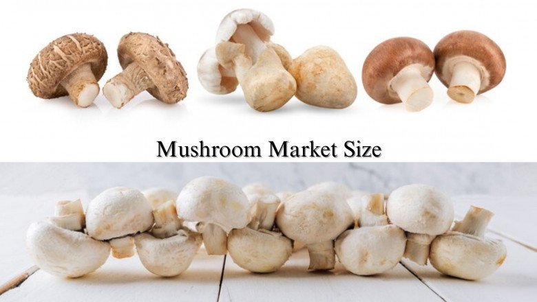 Mushroom Market Size, Share, Industry Growth, and Forecast, 2032